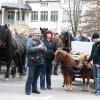 Blagoslov konj 2012 - 015